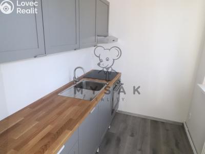 Аренда квартиры 3+KK Ševětín, Zahradní 241 č. 4