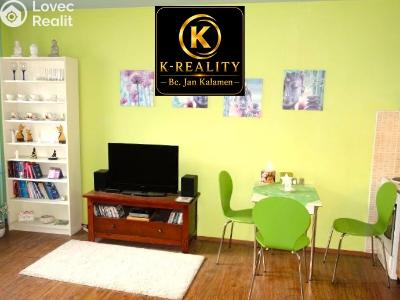 Rent apartment 1+KK Ústí nad Labem, Obvodová č. 2