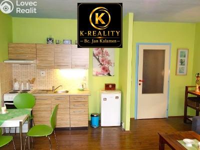 Rent apartment 1+KK Ústí nad Labem, Obvodová č. 4