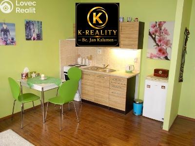 Аренда квартиры 1+KK Ústí nad Labem, Obvodová č. 17