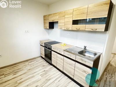 Rent apartment 2+1 Ktiš č. 3