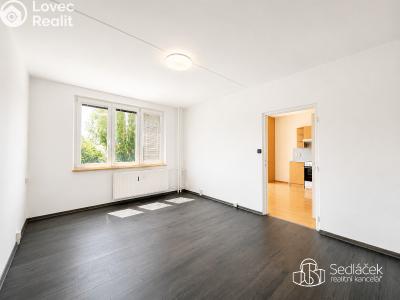 Rent apartment 1+1 Sokolov, Kosmonautů č. 3