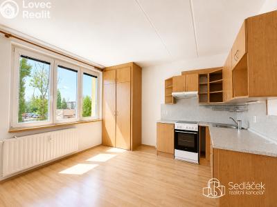 Rent apartment 1+1 Sokolov, Kosmonautů č. 5