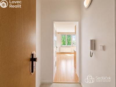 Rent apartment 1+1 Sokolov, Kosmonautů č. 7