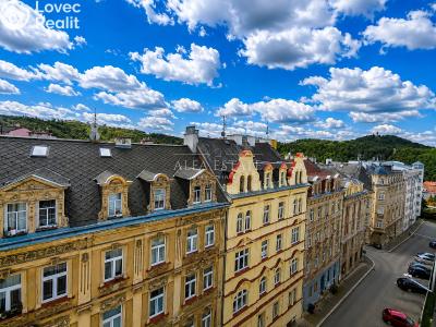 Sale apartment 3+1 Karlovy Vary, Raisova č. 25