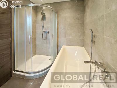 Rent apartment 2+1 Jihlava, Ladova č. 3