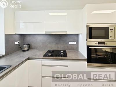 Rent apartment 2+1 Jihlava, Ladova č. 4