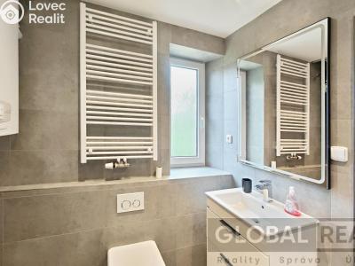 Rent apartment 2+1 Jihlava, Ladova č. 10