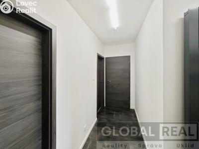 Rent apartment 2+1 Jihlava, Ladova č. 13
