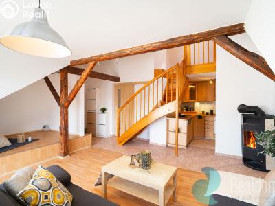 Sale apartment 3+KK České Budějovice, J. Š. Baara č. 4