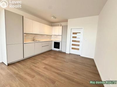 Pronájem bytu 3+KK Praha, Raichlova č. 8