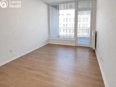 Pronájem bytu 3+KK Praha, Raichlova č. 11