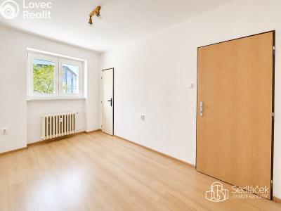 Аренда квартиры 3+1 Březová, Okružní č. 4