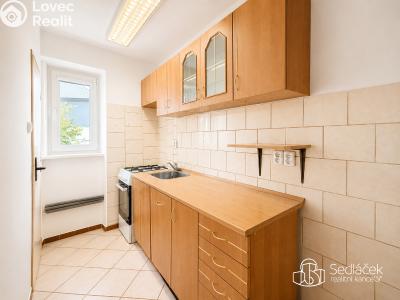 Аренда квартиры 3+1 Březová, Okružní č. 7