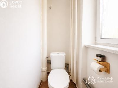 Аренда квартиры 3+1 Březová, Okružní č. 11