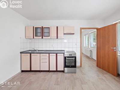 Rent apartment 1+1 Dolní Rožínka č. 1