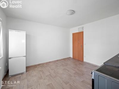 Rent apartment 1+1 Dolní Rožínka č. 2