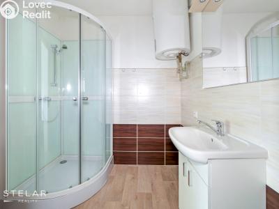 Rent apartment 1+1 Dolní Rožínka č. 5