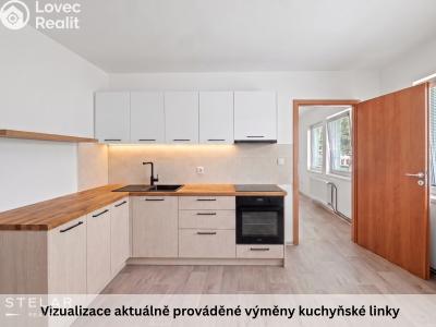 Rent apartment 1+1 Dolní Rožínka č. 1
