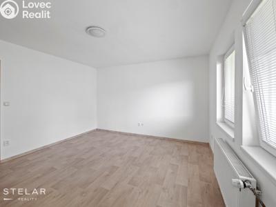 Rent apartment 1+1 Dolní Rožínka č. 4