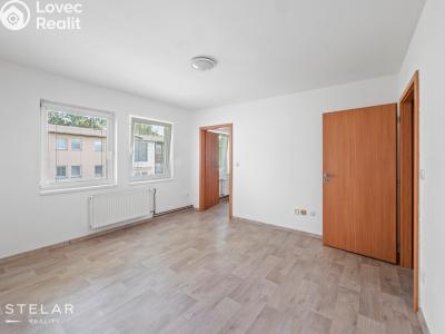 Rent apartment 1+1 Dolní Rožínka č. 5