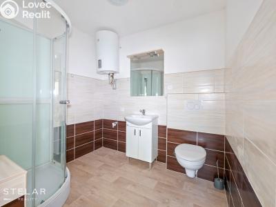 Rent apartment 1+1 Dolní Rožínka č. 7