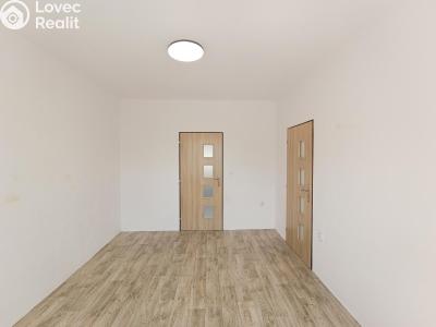 Продаж квартири 3+KK Planá, Karlín 591 č. 4