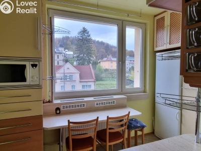Rent apartment 2+1 Jeseník, Lipovská č. 1