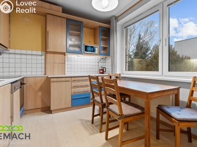 Rent apartment 3+1 Uherské Hradiště, Za Alejí 1017 č. 14