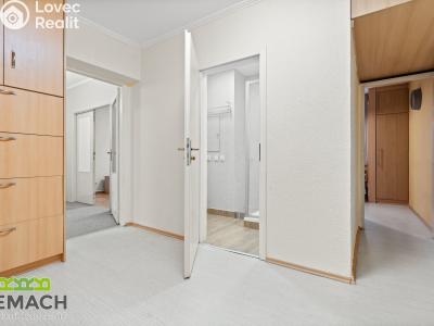 Rent apartment 3+1 Uherské Hradiště, Za Alejí 1017 č. 2