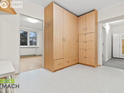 Rent apartment 3+1 Uherské Hradiště, Za Alejí 1017 č. 8