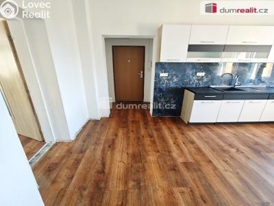 Rent apartment 2+1 Děčín, Kamenická č. 3
