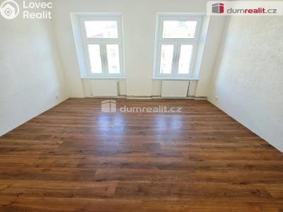 Rent apartment 2+1 Děčín, Kamenická č. 4