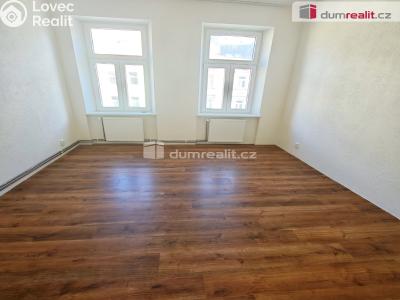 Rent apartment 2+1 Děčín, Kamenická č. 7
