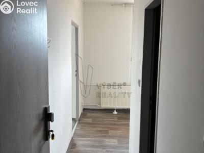 Rent apartment 1+1 Bílina, Teplická č. 7