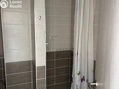 Rent apartment 1+1 Bílina, Teplická č. 9