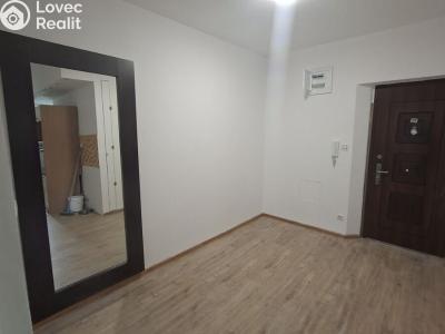 Rent apartment 3+1 Sokolov, Kosmonautů č. 6