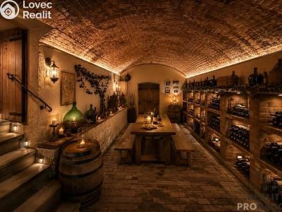 Sale wine cellar Žeravice č. 6