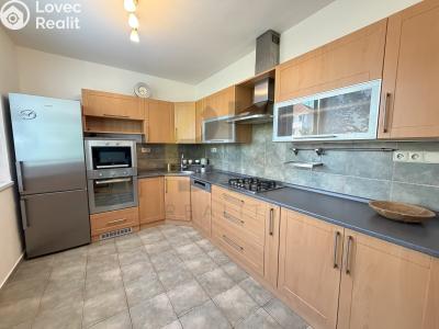 Rent apartment 3+1 Hodonín, Lesní č. 1