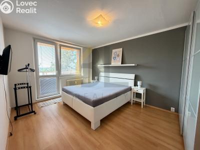 Rent apartment 3+1 Hodonín, Lesní č. 5