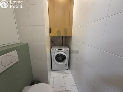 Rent apartment 3+1 Hodonín, Lesní č. 10