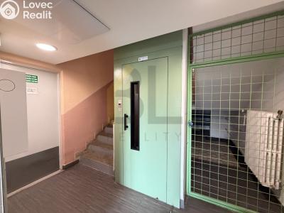Rent apartment 3+1 Hodonín, Lesní č. 11
