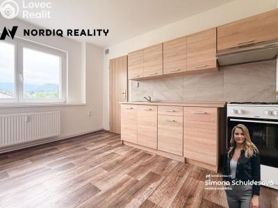 Rent apartment 1+1 Dubí, Lípová č. 1