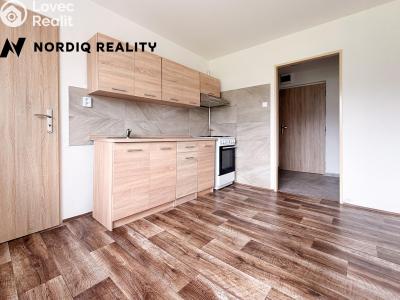Rent apartment 1+1 Dubí, Lípová č. 6