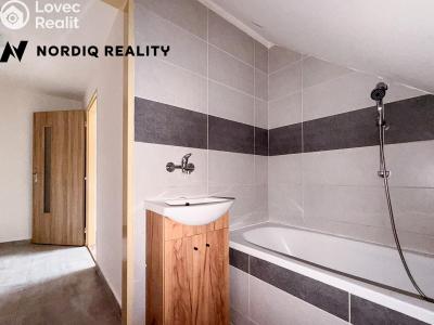 Rent apartment 1+1 Dubí, Lípová č. 11