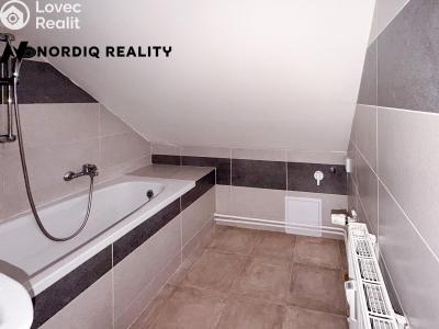 Rent apartment 1+1 Dubí, Lípová č. 12
