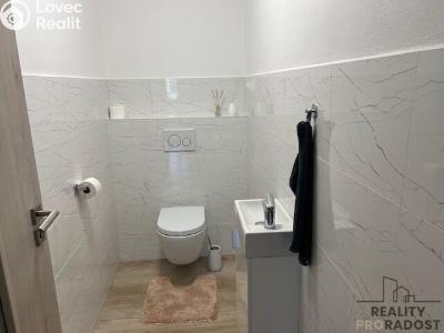 Оренда сімейного будинку Šardice č. 8