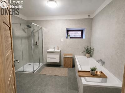 Rent apartment 3+KK Stříbrná Skalice č. 5
