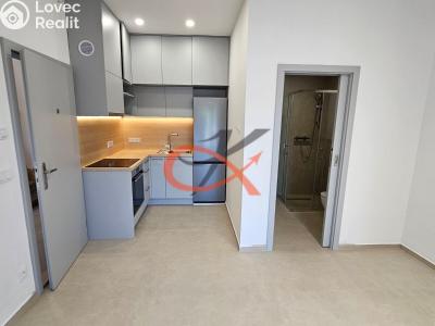 Rent apartment 1+KK Šenov u Nového Jičína, Jeremenkova 227 č. 1
