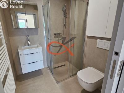 Rent apartment 1+KK Šenov u Nového Jičína, Jeremenkova 227 č. 5